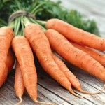 Морковь, посадка и уход